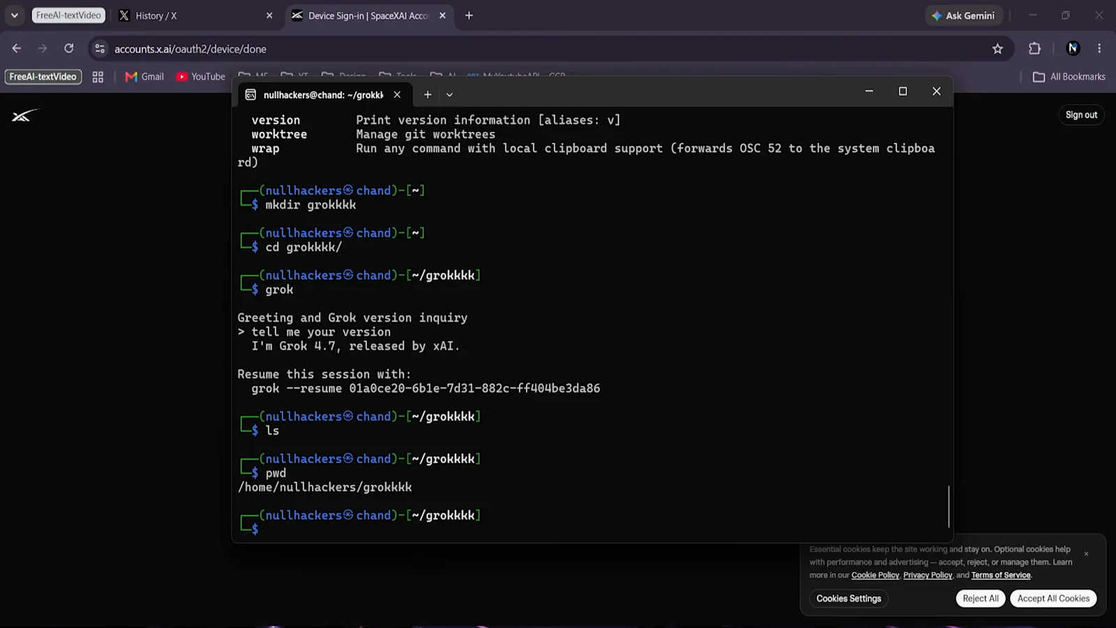 Grok Build CLI session asking what do you want to work on with a token counter and Grok 4.7 model tag visible