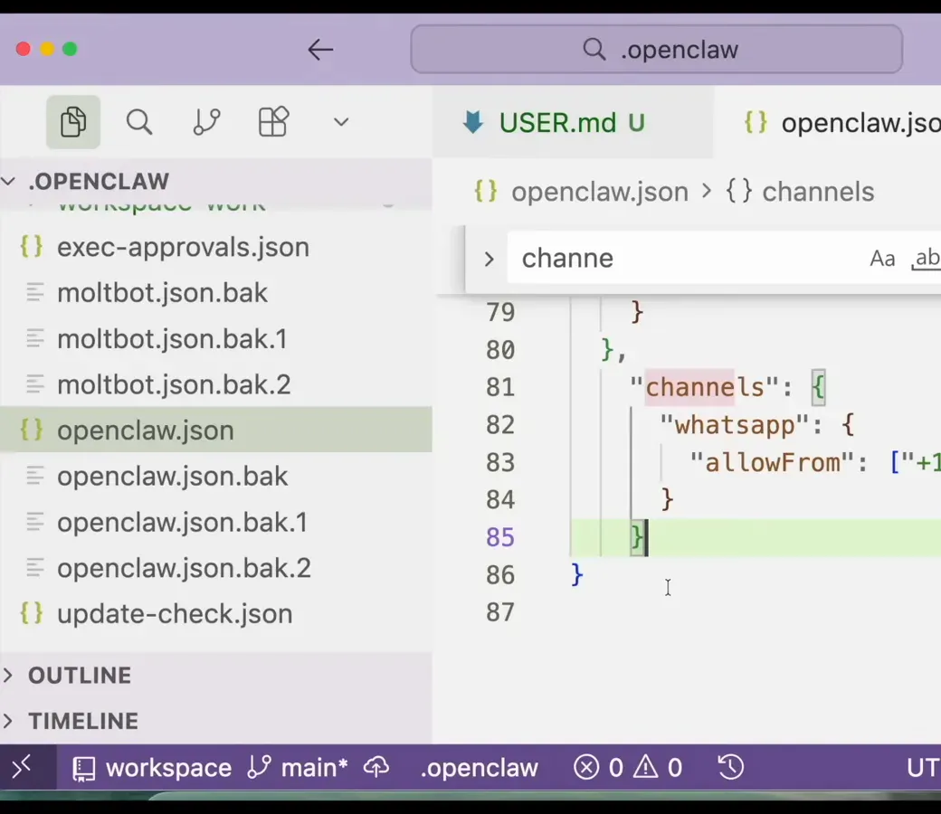 VS Code editor adding the channels whatsapp allowFrom phone number block to the openclaw.json configuration file