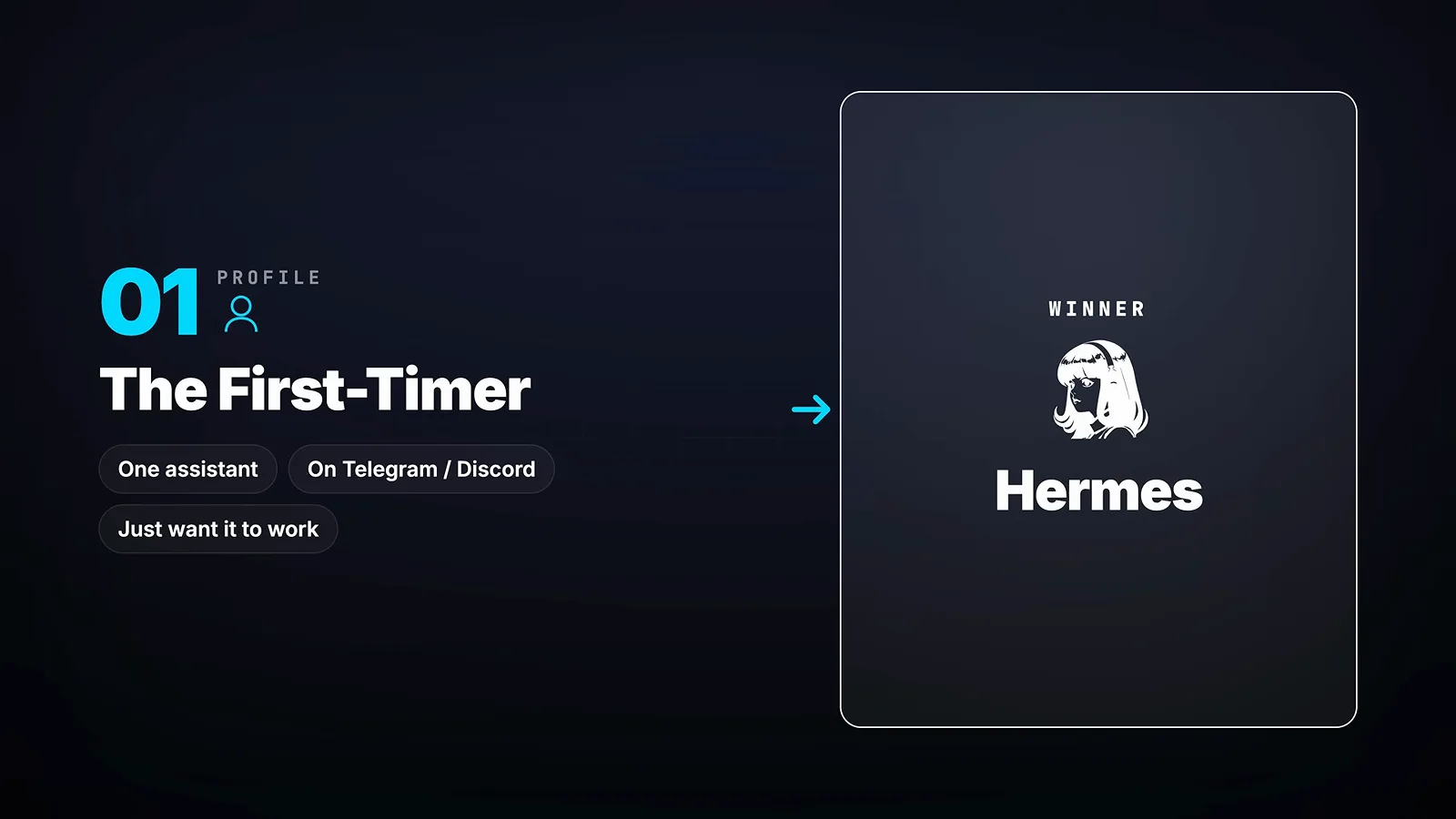 First-timer profile card mapping one-assistant beginners who just want it to work to Hermes as the winner