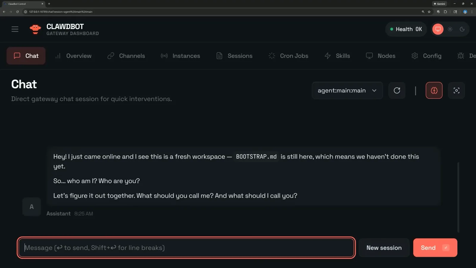 Clawdbot gateway dashboard chat page on first boot asking who the new OpenClaw assistant is talking to